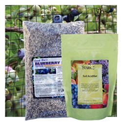 Photo of Blueberry Plant Success Kit