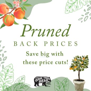 Photo of text stating save with pruned back prices.