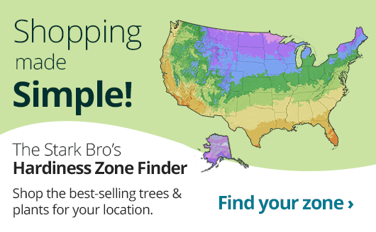 Shopping made simple! Try the Stark Bro's Hardiness Zone Finder